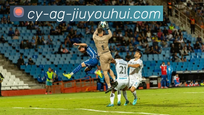 App Interface Preview