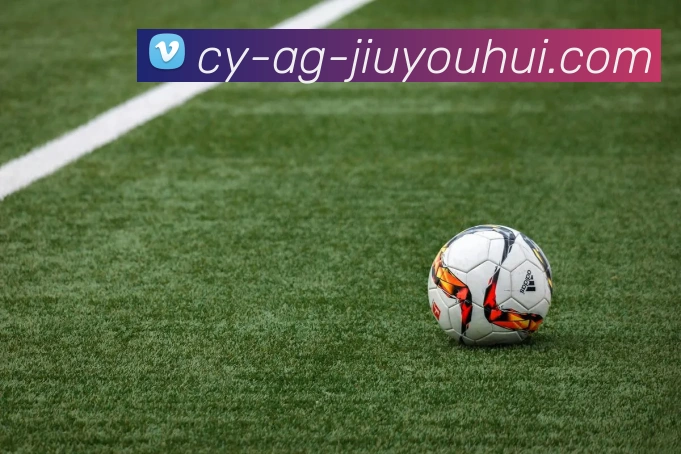 九游会AGGAMES官网APP 封面图